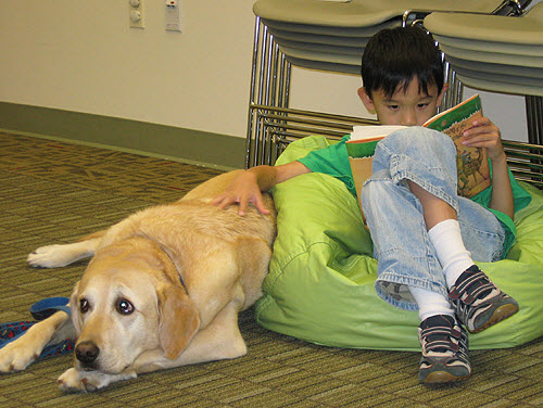 PAWS to READ at Oakton via Fairfax Library Foundation on Flickr