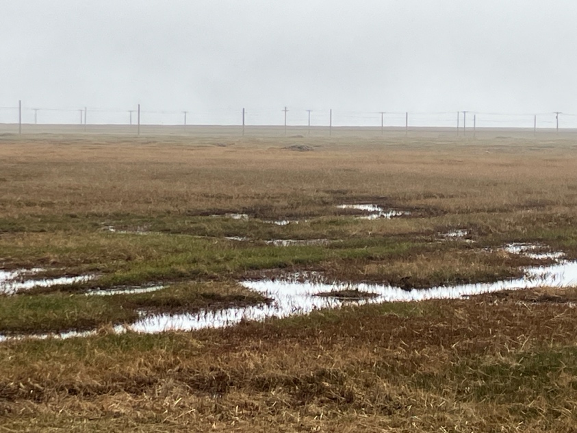 Landscape of a wet field and a gray sky