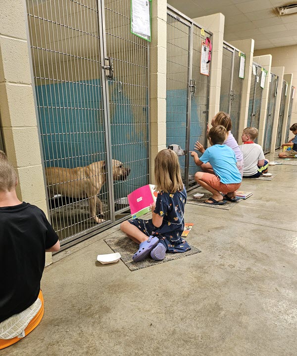 Youth from Hardin County Public Library reading to dogs at local shelter