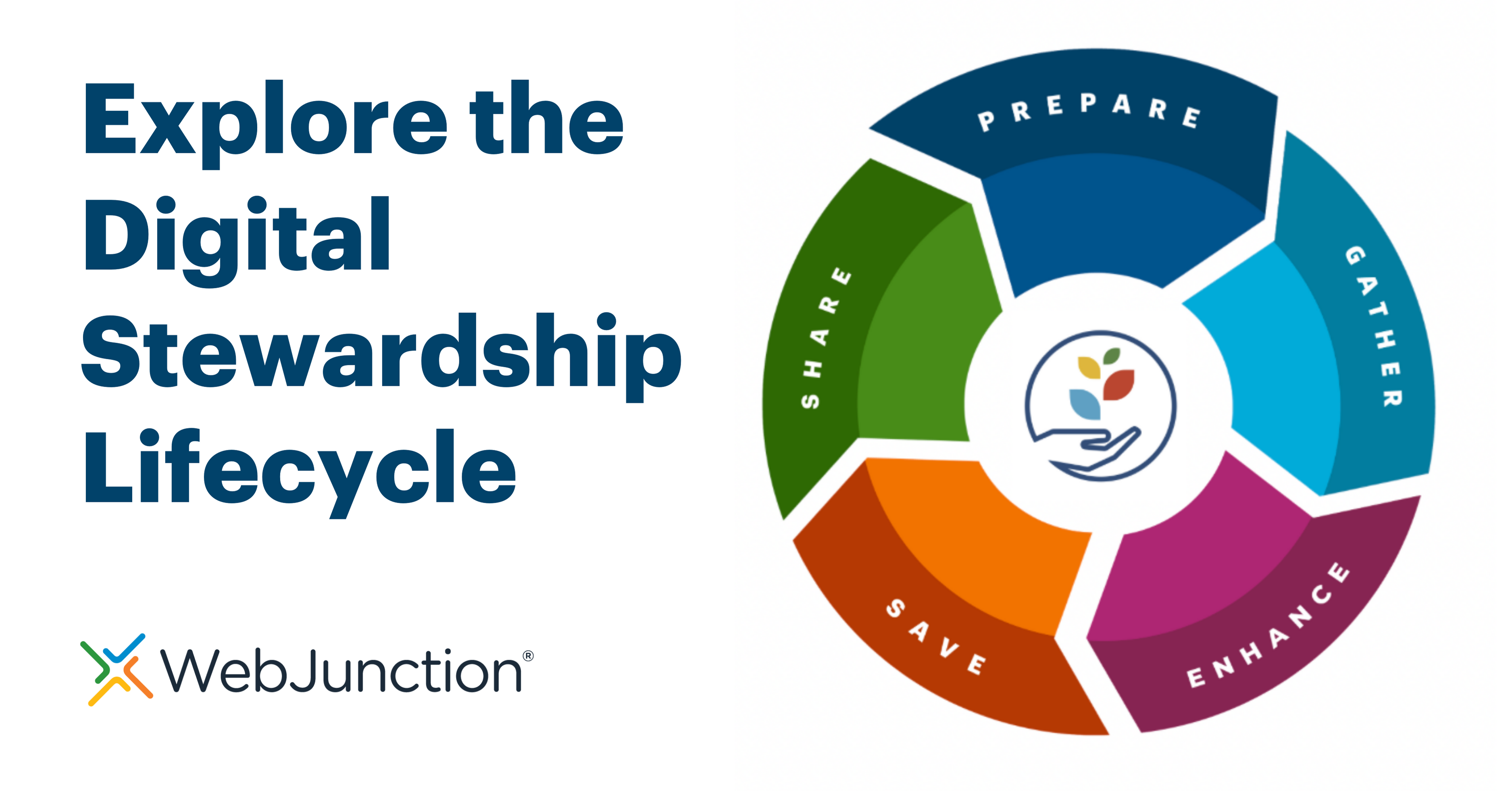 Explore The Digital Stewardship Lifecycle | WebJunction