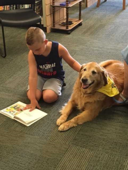 Child reading with a gold retriever